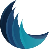 Wave Network logo - Similar company to Diaphanos
