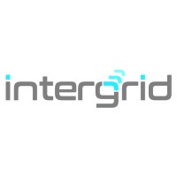 Intergrid B.V. logo - Similar company to Futurelink Solutions