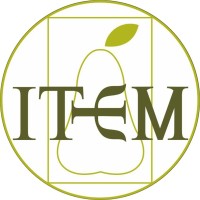 Centro ITEM logo - Similar company to Instituto Centta