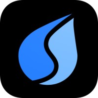 SkillFlow logo - Similar company to Siliconhacks