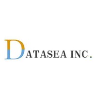 Datasea INC logo - Similar company to Data Sea Consulting