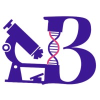BioInCRO logo - Similar company to Meritudio