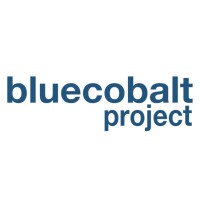 Blue Cobalt Project logo - Similar company to Meca Place