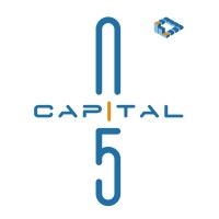 五岳资本N5Capital logo - Similar company to Goofar Sanxin Fund