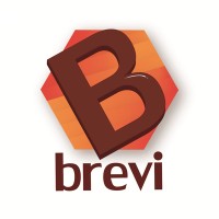 Brevi Interim Management logo - Similar company to Workforce Development