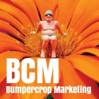 Bumpercrop Marketing