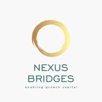 Nexus Bridges logo - Similar company to Pratibha Wealth