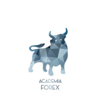 Academia Forex logo - Similar company to Código Trading