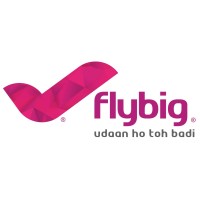 flybig logo - Similar company to Fly91.In