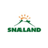 Snaeland Grimsson