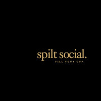 Spilt Social logo - Similar company to Your Concierge Md