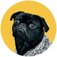 Bananapug