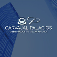 Carvajal Palacios Limited - Insurance Agency logo - Similar company to Biokhem Sas