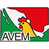 Aviespecialistas de México- AVEM logo - Similar company to Galitech