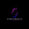 Syntegrate Services logo - Similar company to Syntegrate