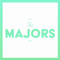 The Majors - What health ? logo - Similar company to Savoir Lui Dire
