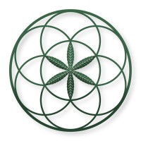 Genesis Growth logo - Similar company to Hemspharm