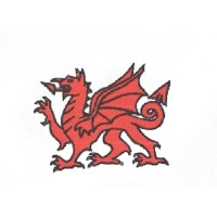 Physiotherapy Wales Ltd logo - Similar company to 5 Star Physiotherapy