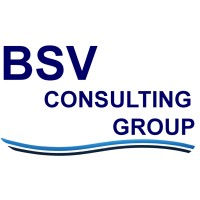 BSV Consulting Group logo - Similar company to Bsv Consulting Ltd