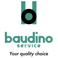 BAUDINO SERVICE logo - Similar company to Codex Srls