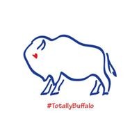 Totally Buffalo logo - Similar company to Leverage Up, Llc