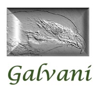 Galvani Risk Consulting, LLC logo - Similar company to Advanced Engineering Services