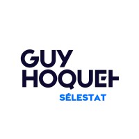 Guy Hoquet l'Immobilier Sélestat logo - Similar company to Altiora Peto