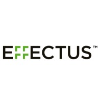Effectus Management & Consulting logo - Similar company to Zik - Zavod Za Ispitivanje Kvalitete D.O.O.