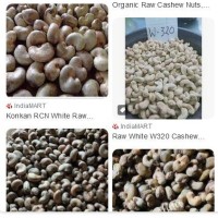 Kogi State is the highest cashew producing  in Nigeria, exporting about 100 metric tonnes logo - Similar company to Intellichain