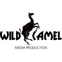 Wild Camel Films logo - Similar company to Acuity Firm