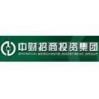 中财招商投资集团有限公司 logo - Similar company to 国盛证券有限责任公司