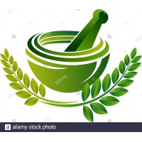 EASY AYURVEDA logo - Similar company to Pravar Ayu Clinic