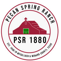 PSR 1880 logo - Similar company to Buddytruk