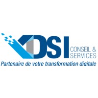 DSI Conseil & Services logo - Similar company to Speed'Artdesign