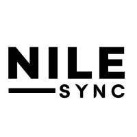 NileSync logo - Similar company to G3MS