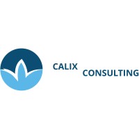 Calix Consulting Ltd