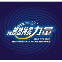 Shandong Halin (Bearing )Group Co., Ltd logo - Similar company to Assemblaggi Spa
