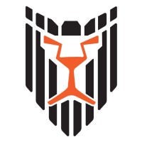 LIOCAT logo - Similar company to Agem Computers S.R.O