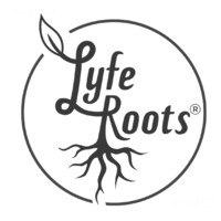 LyfeRoots logo - Similar company to Bcoached.