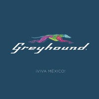 Greyhound Lines México logo - Similar company to Bric Digital
