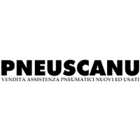 Pneuscanu Srl