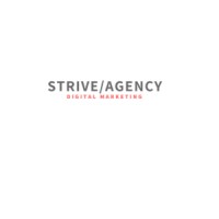 Strive Agency logo - Similar company to Zephyrus