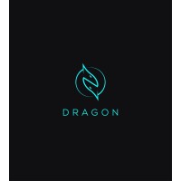 DragonTech88 logo - Similar company to Dragontech It Services Inc
