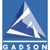 Gadson  Electronics logo - Similar company to Vishwaconclave