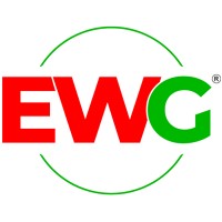 Emerging World Group logo - Similar company to Sst Smart & Sustainable Technologies L.L.C