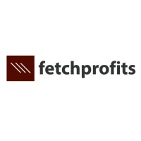 fetchprofits logo - Similar company to Wptowp