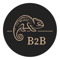 B2B Coaching by Boris Brändli logo - Similar company to Docus Ag