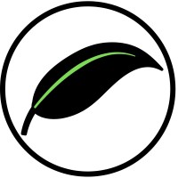 My Pain Center: The Cbd Headquarters