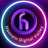 Hasnain Digital Valley logo - Similar company to Pc Design