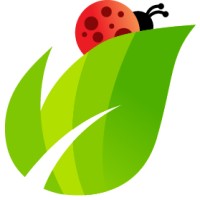 Pantana CPA logo - Similar company to Element Cpa, Pc